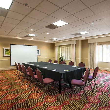 Hilton Garden Inn Tampa Ybor Historic District-3